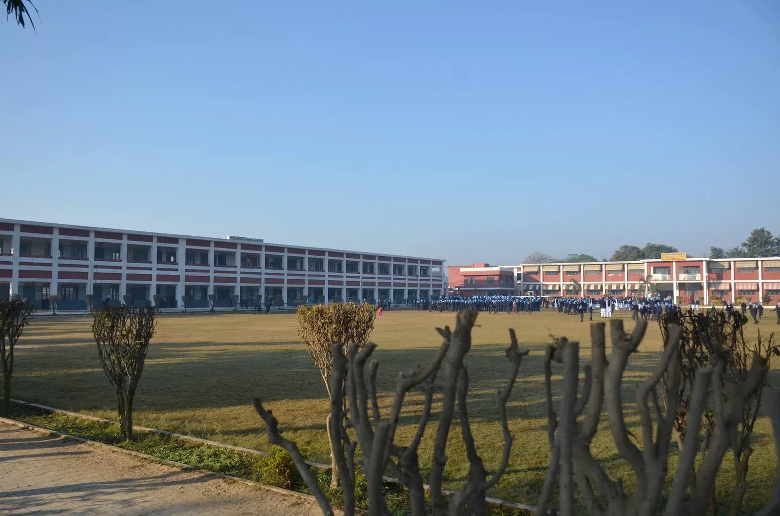 5WgzT dyxq8 nsps kila raipur